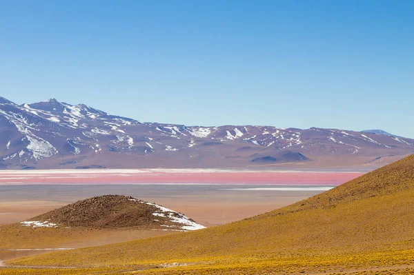 Laguna Colorada Paisagem Bolívia Belo Panorama Boliviano Lagoa Água Vermelha — Fotografia de Stock