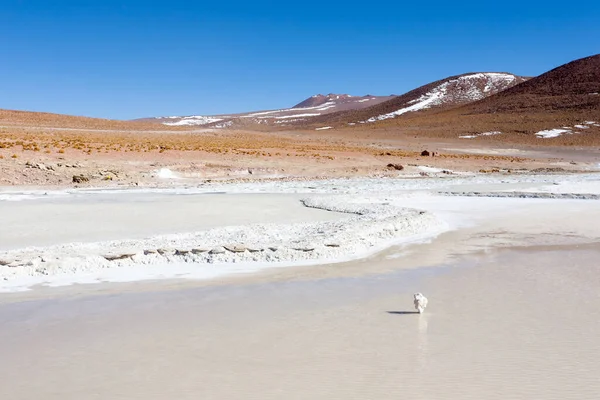 Bolivianische Lagune Bolivien Salar Chalviri Ansicht — Stockfoto