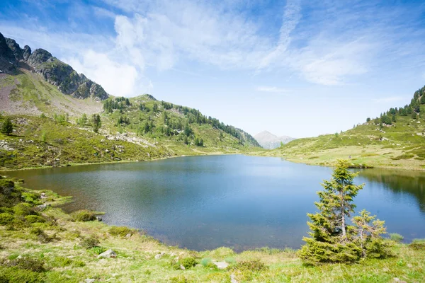 Lagorai Montanha Paisagem Alpes Italianos Verão Panorama Montanha — Fotografia de Stock