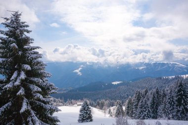 Alplerden gelen karlı kış manzarası. Asya tepesi, İtalya
