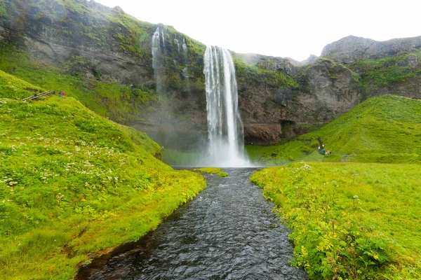 Seljalandsfoss Tombe Dans Vue Saison Estivale Islande Paysage Islandais — Photo