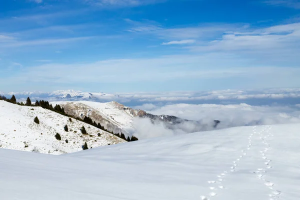 Зимний Пейзаж Снегом Альп Зимний Вид Гору Граппа — стоковое фото