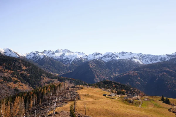 Mocheni Valley Autumn Landscape Baselga Pine Italy Mountain View — Stock fotografie