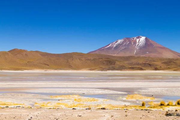 Laguna Hedionda Paisaje Bolivia Hermoso Panorama Boliviano Laguna Agua Azul —  Fotos de Stock