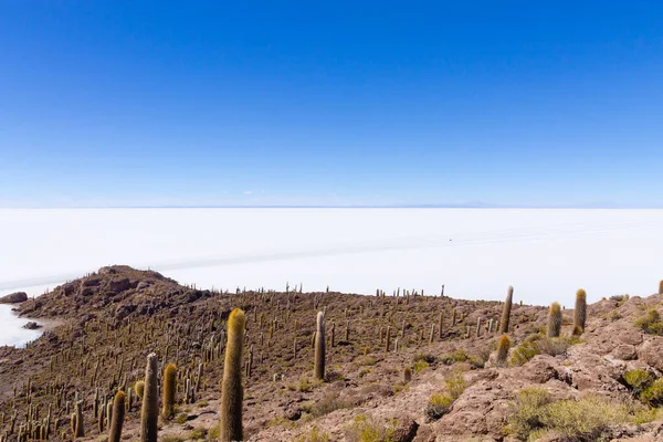 Salar Uyuni Vista Ilha Incahuasi Bolívia Maior Apartamento Sal Mundo — Fotografia de Stock