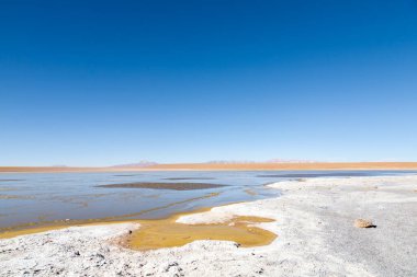 Bolivya lagün manzarası, Bolivya. Kollpa Kkota göl manzarası. Collpa Laguna