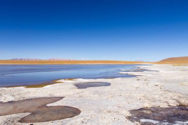 Bolivya lagün manzarası, Bolivya. Kollpa Kkota göl manzarası. Collpa Laguna