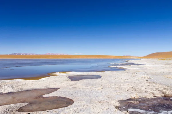 Vue Sur Lagon Bolivien Bolivie Vue Sur Lagon Kollpa Kkota — Photo