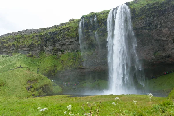 Seljalandsfoss Spada Sezonie Letnim Islandia Krajobraz Islandii — Zdjęcie stockowe