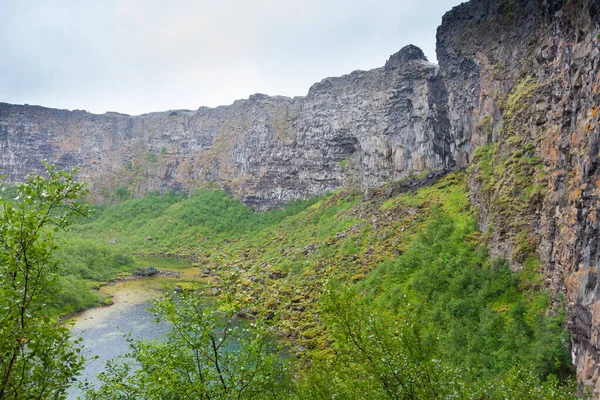 Islandia Paisaje Asbyrgi Glacial Canyon Botnstjorn Lake Islandia —  Fotos de Stock