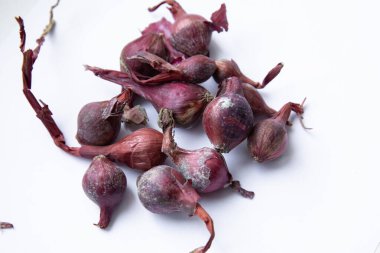 Kırmızı soğan. Ampuller küfle kaplı. Soğan hastalıkları.