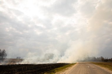 Sahada kuru otları yakmak. Sıcak bir günde, tarlada kuru çimenler yanar. Dikkatsiz ateş etme. Orman yangını. Bir çiftçi sakal yakar. Tarlada yangın var..