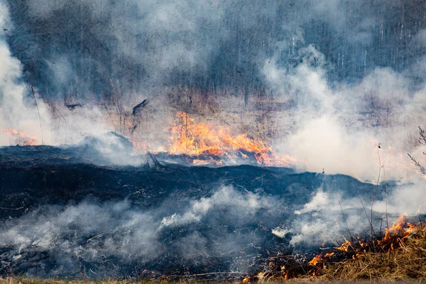 Καίγοντας Στεγνό Γρασίδι Στο Χωράφι Μια Ζεστή Μέρα Γρασίδι Καίγεται — Φωτογραφία Αρχείου