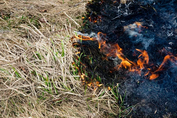 Καίγοντας Στεγνό Γρασίδι Στο Χωράφι Μια Ζεστή Μέρα Γρασίδι Καίγεται — Φωτογραφία Αρχείου
