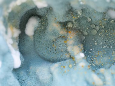 Küflü yakın çekim makro. Küflü mantar. Yumuşak sporlar arka plan ya da doku olarak küflenir. Küf mantarı. Soyut arkaplan.