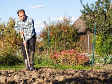 Bahçıvanlık, güneşli bir günde bahçe yatağını kazan adam.
