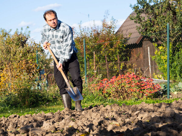 Gardening, man digging the garden bed with spade on sunny day