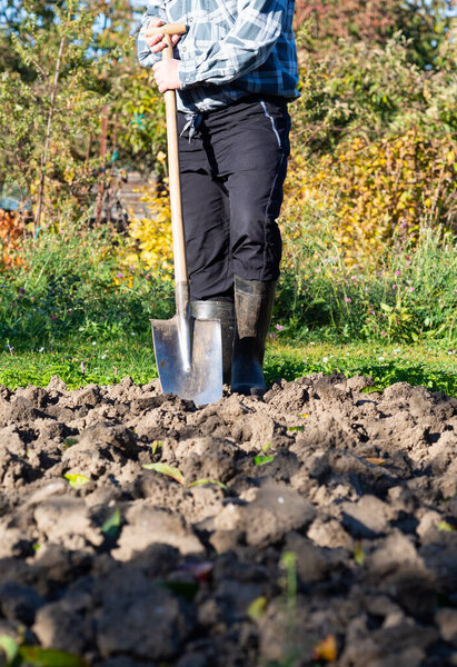 Gardening, detail of man digging the garden bed with spade on sunny day