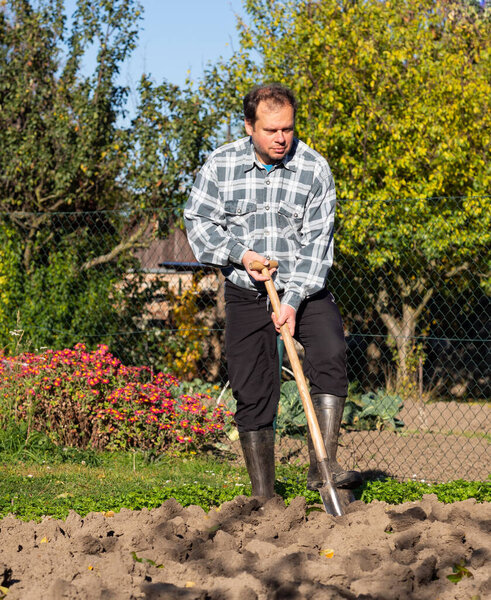 Gardening, man digging the garden bed with spade on sunny day