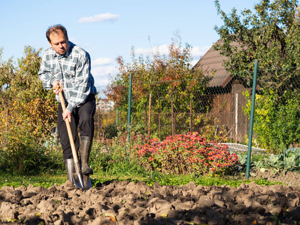 Gardening, man digging the garden bed with spade on sunny day