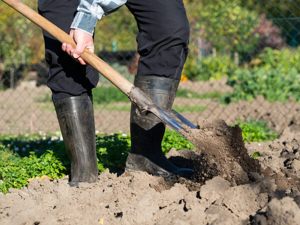 Gardening, detail of man digging the garden bed with spade on sunny day