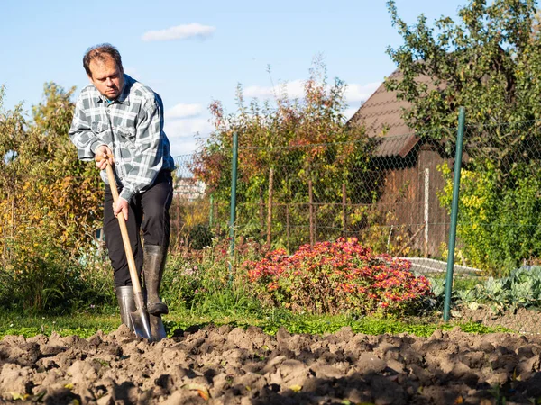 Gartenarbeit Mann Schaufelt Sonnigem Tag Gartenbeet Mit Spaten lizenzfreie Stockbilder