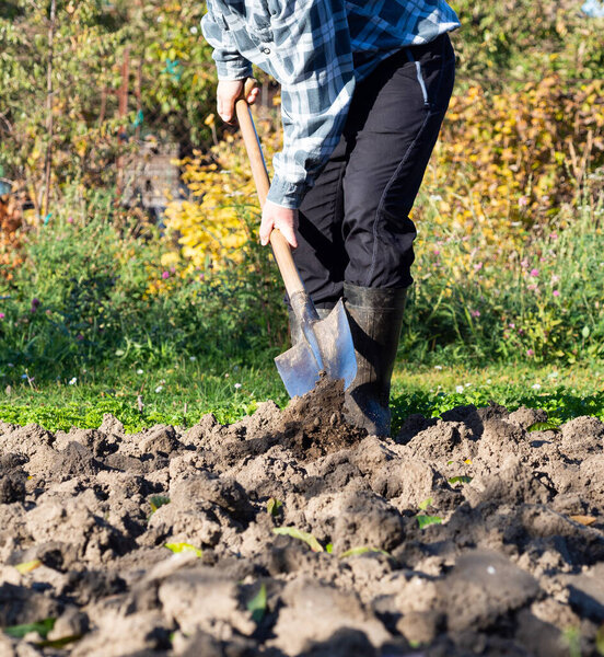 Gardening, detail of man digging the garden bed with spade on sunny day