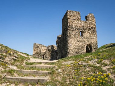 Brnicko, Çek Cumhuriyeti, Avrupa 'daki antik gotik şatonun kalıntıları. Yeşil çimlerle, çiçeklerle ve güneşli baharda mavi gökyüzüyle eski bir harabe..