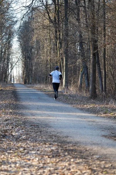 Człowiek Biegnie Przyrodzie Przez Park Przyrody Wczesną Wiosną Sport Przyrodzie — Zdjęcie stockowe