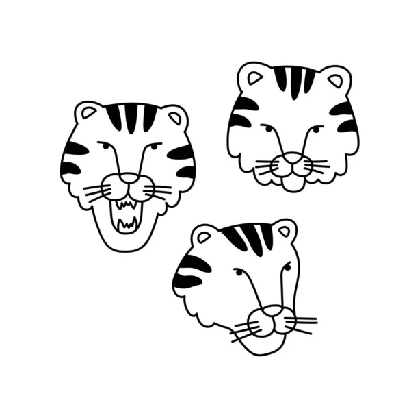 Ilustracja Wektorowa Głów Tygrysa Różnych Stanach Ręcznie Rysowany Zestaw Wektorów — Wektor stockowy