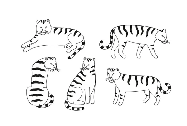 Vector Illustration Tiger Characters Various Poses Hand Drawn Cartoon Vector — Stockvector