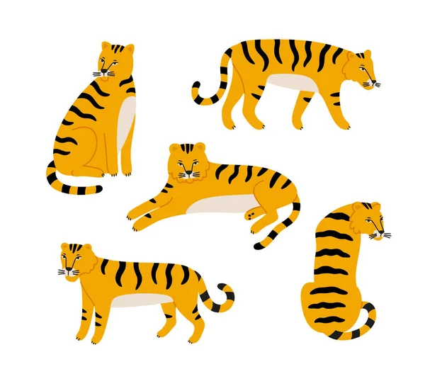 Vector Illustration Yellow Tiger Characters Various Poses Hand Drawn Bright — Stockvector
