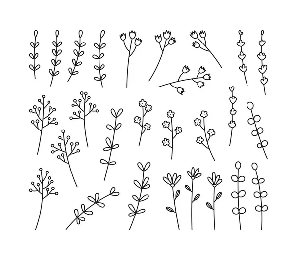 Vector Set Van Lente Bloemen Bloemen Takken Handgetekende Plantkunde Geïsoleerd — Stockvector