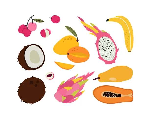 Χειροποίητα Μικρά Τροπικά Φρούτα Μάνγκο Λίτσι Καρύδα Παπάγια Μπανάνες Φρούτα — Διανυσματικό Αρχείο