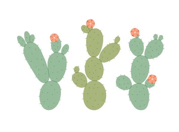 Hand Drawn Prickly Pear Cactus Flowers Desert Plants Flat Vector — Archivo Imágenes Vectoriales