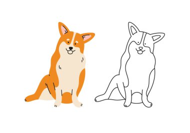 Cute corgi dog vector cartoon illustration. Hand-drawn dog in contemporary flat style, and line art. Cartoon animal, pet. The dog is sitting.