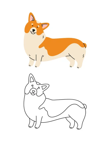 Cute Corgi Dog Vector Cartoon Illustration Hand Drawn Dog Contemporary — Stock Vector