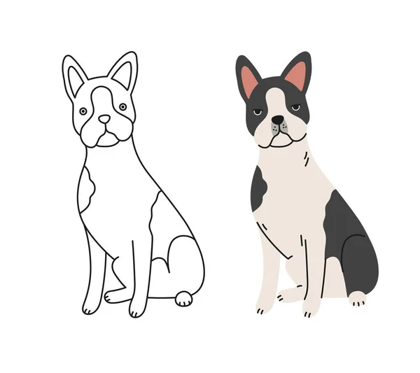 Cute Boston Terrier Pies Wektor Ilustracji Kreskówki Ręcznie Rysowany Pies — Wektor stockowy