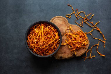 Kurumuş Cordyceps askeri mantarı koyu gri arka planda kasede. Cordyceps çiçeği
