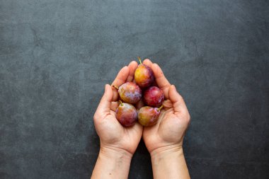 Olgun Erik, arka planda meyveleri eritiyor.