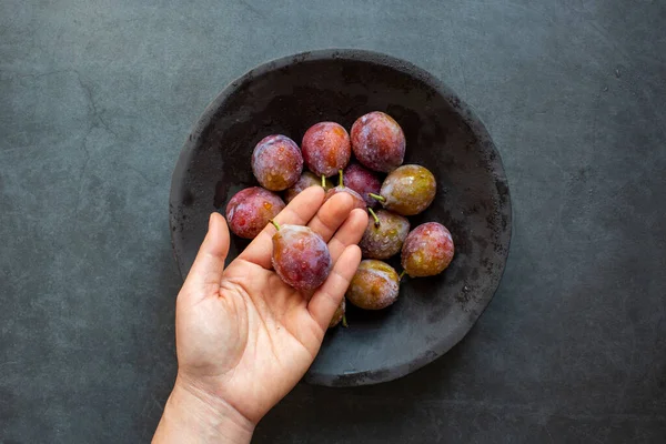 Olgun Erik, arka planda meyveleri eritiyor.