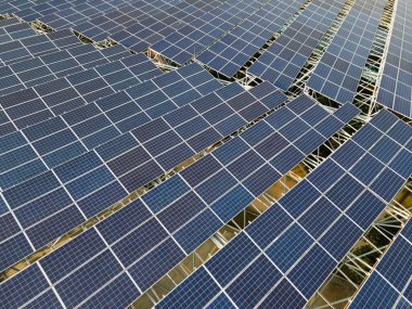 Alacakaranlıktaki güneş panellerine bakıyorum.