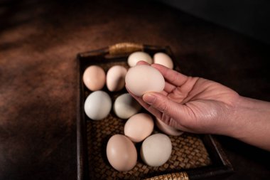 Yumurta tutan bir kadın eli..