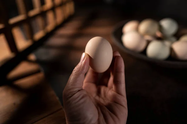 Eine Frauenhand Hält Ein — Stockfoto