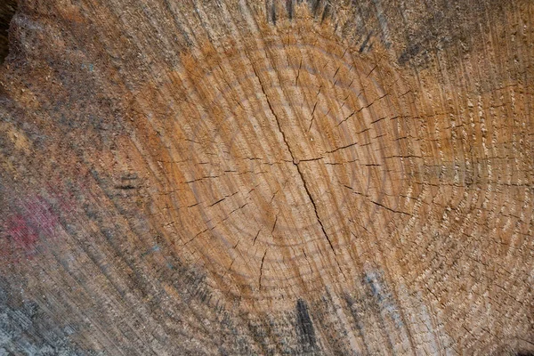 Přírodní Textura Dřeva — Stock fotografie