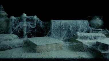 Örümcek ağlarıyla kaplı eski kitaplar ve antikalar.