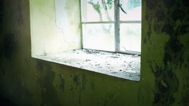 在窗户破了的被遗弃的房子里站起来 — 图库视频影像