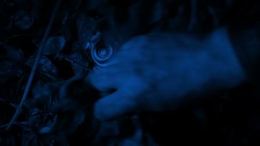 Aztek İdolü Gece Ormanında Bulundu