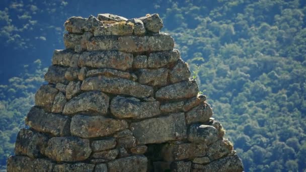 Machu Picchu Ptaki Latają Wokół Ruin — Wideo stockowe