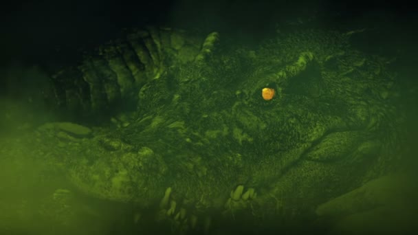 沼泽中鳄鱼张嘴时浓重的气体 — 图库视频影像